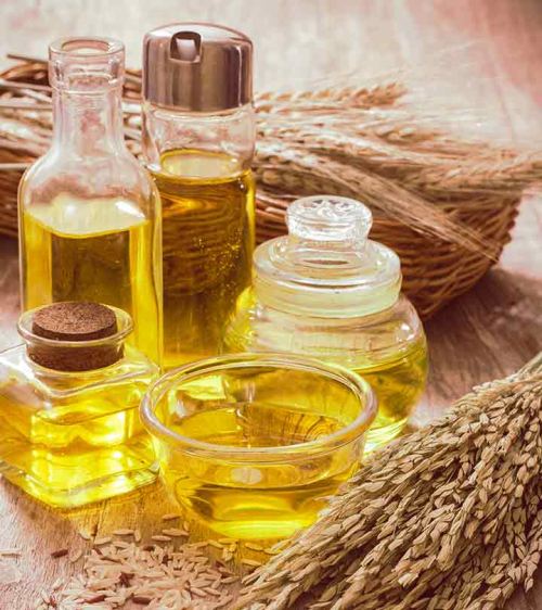 Rice bran oil refining machine